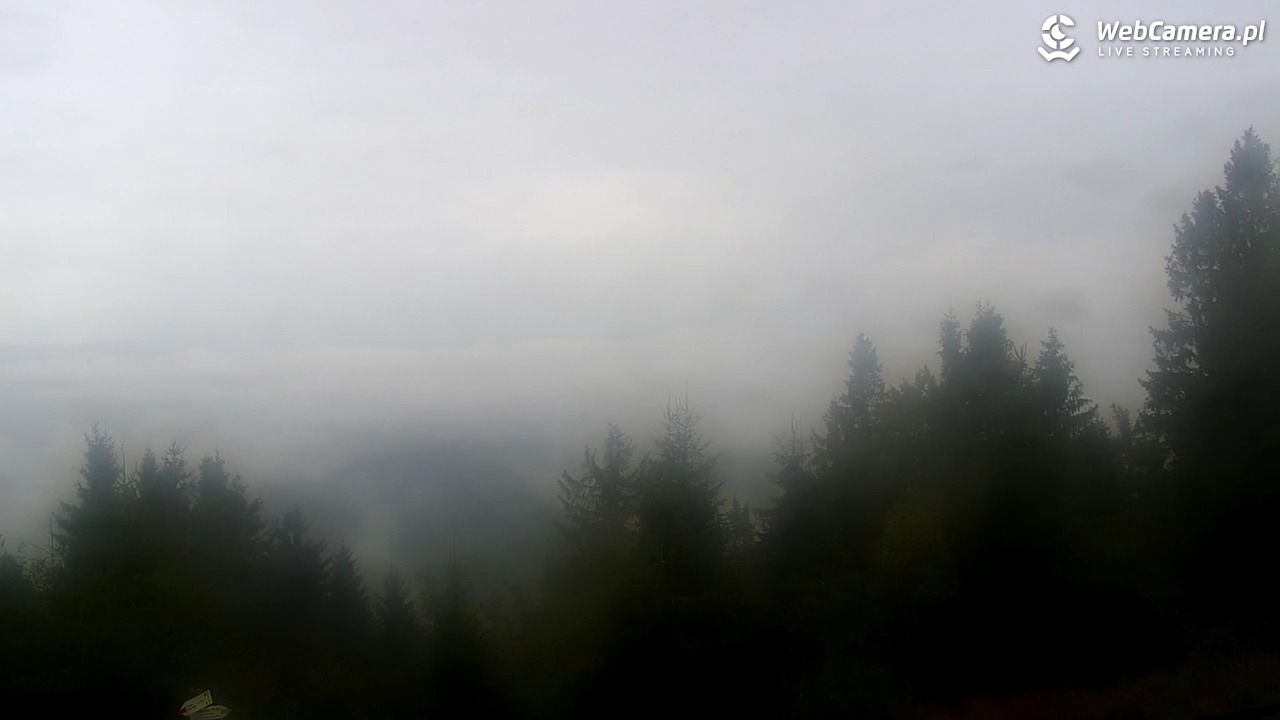 Turbacz - Gorce - 14 wresień 2025, 11:27
