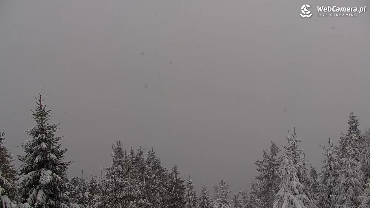 Turbacz - Gorce - 11 styczeń 2026, 14:51