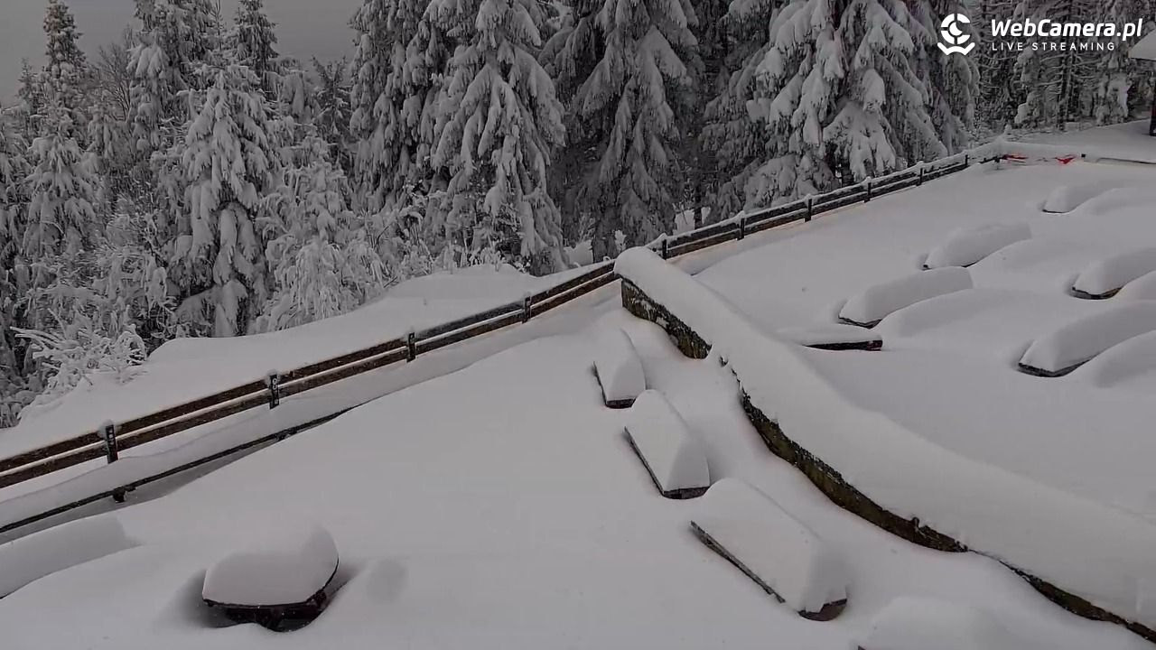 Turbacz - Gorce - 12 styczeń 2026, 11:26
