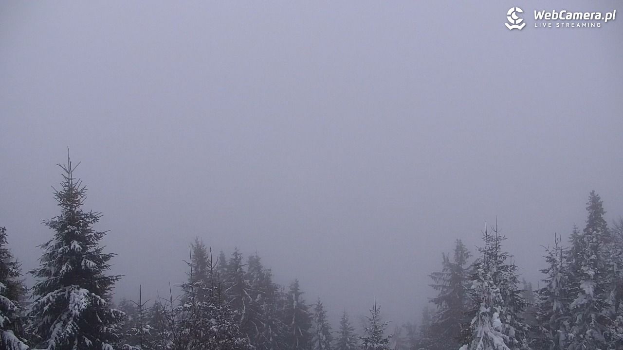 Turbacz - Gorce - 15 styczeń 2026, 16:30