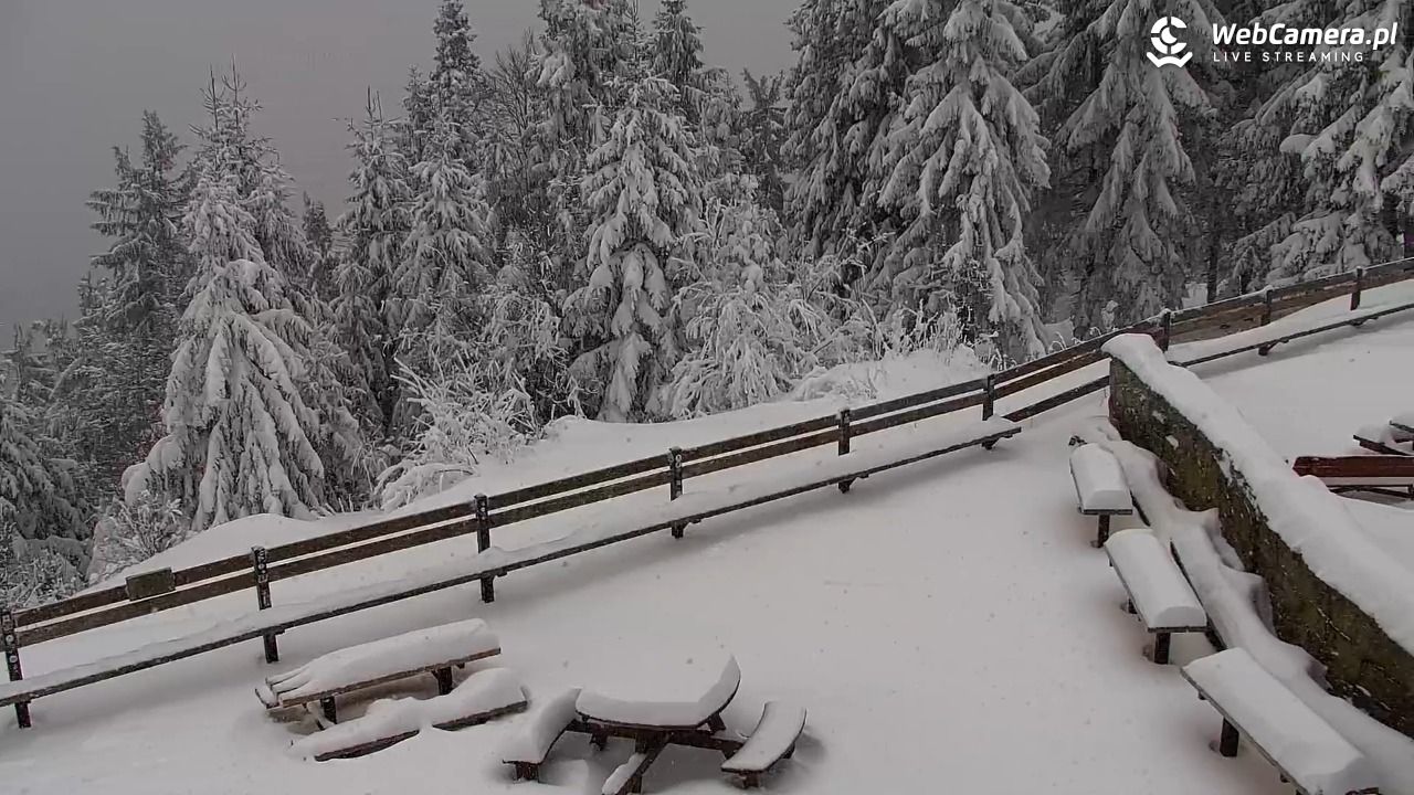 Turbacz - Gorce - 11 styczeń 2026, 10:33