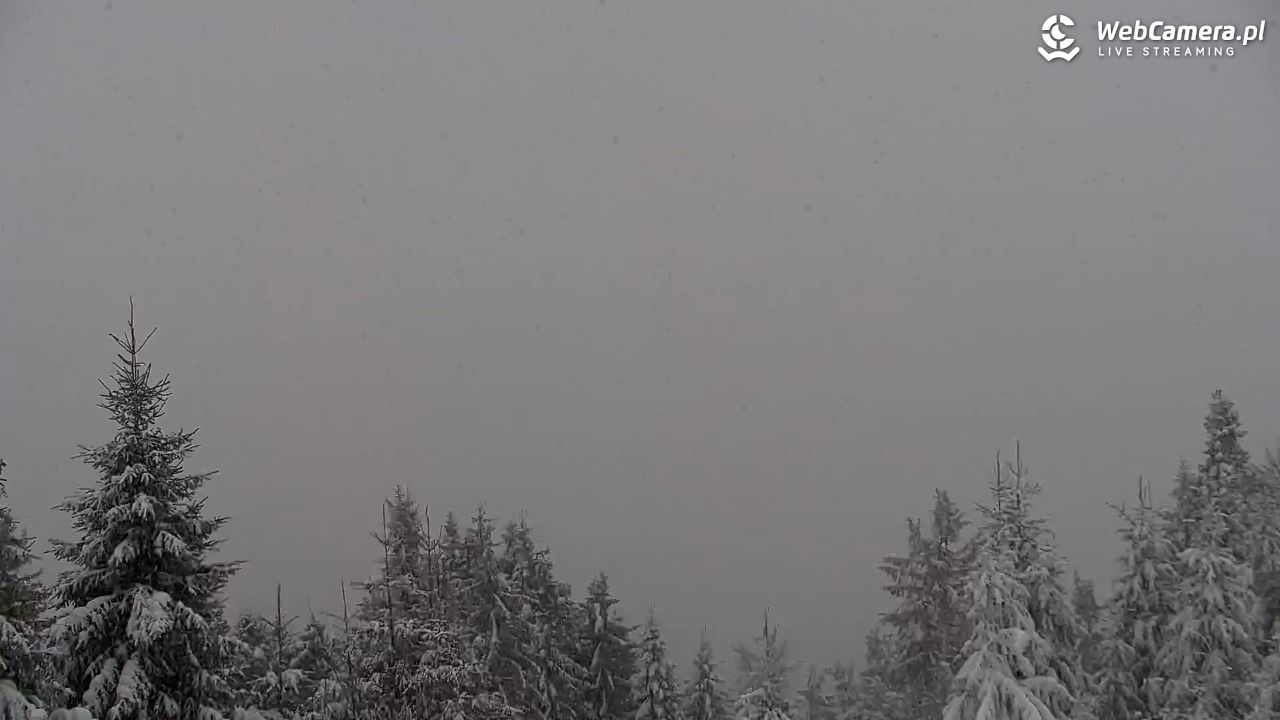 Turbacz - Gorce - 11 styczeń 2026, 14:55