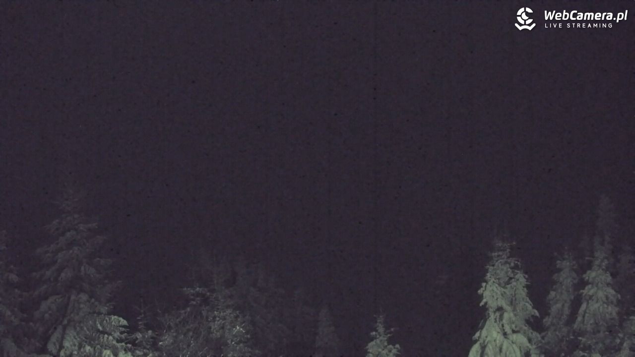 Turbacz - Gorce - 12 styczeń 2026, 05:52