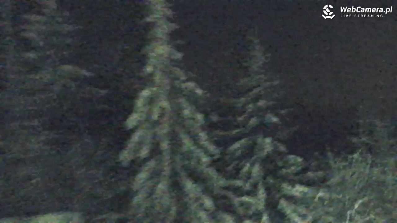 Turbacz - Gorce - 10 styczeń 2026, 20:10