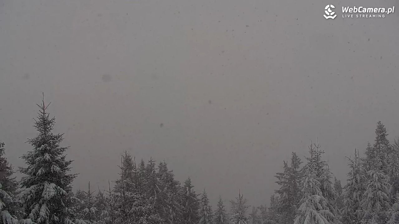 Turbacz - Gorce - 11 styczeń 2026, 12:13