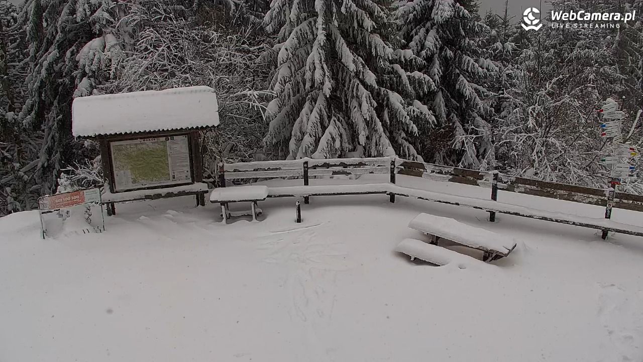 Turbacz - Gorce - 11 styczeń 2026, 10:32