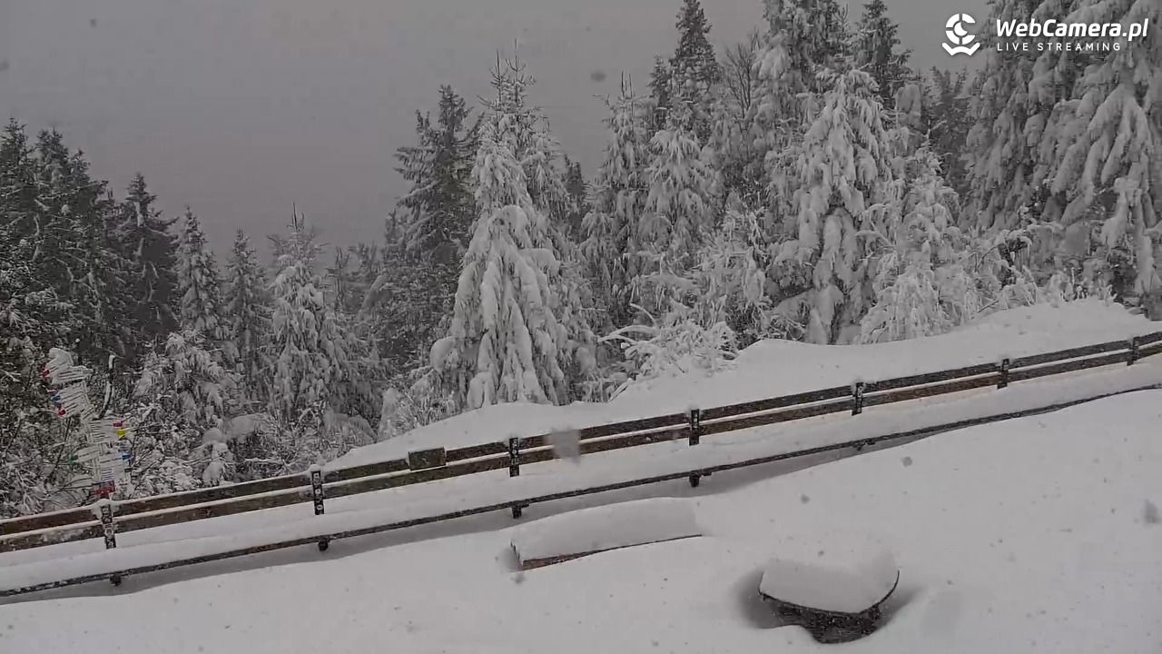 Turbacz - Gorce - 13 styczeń 2026, 10:27