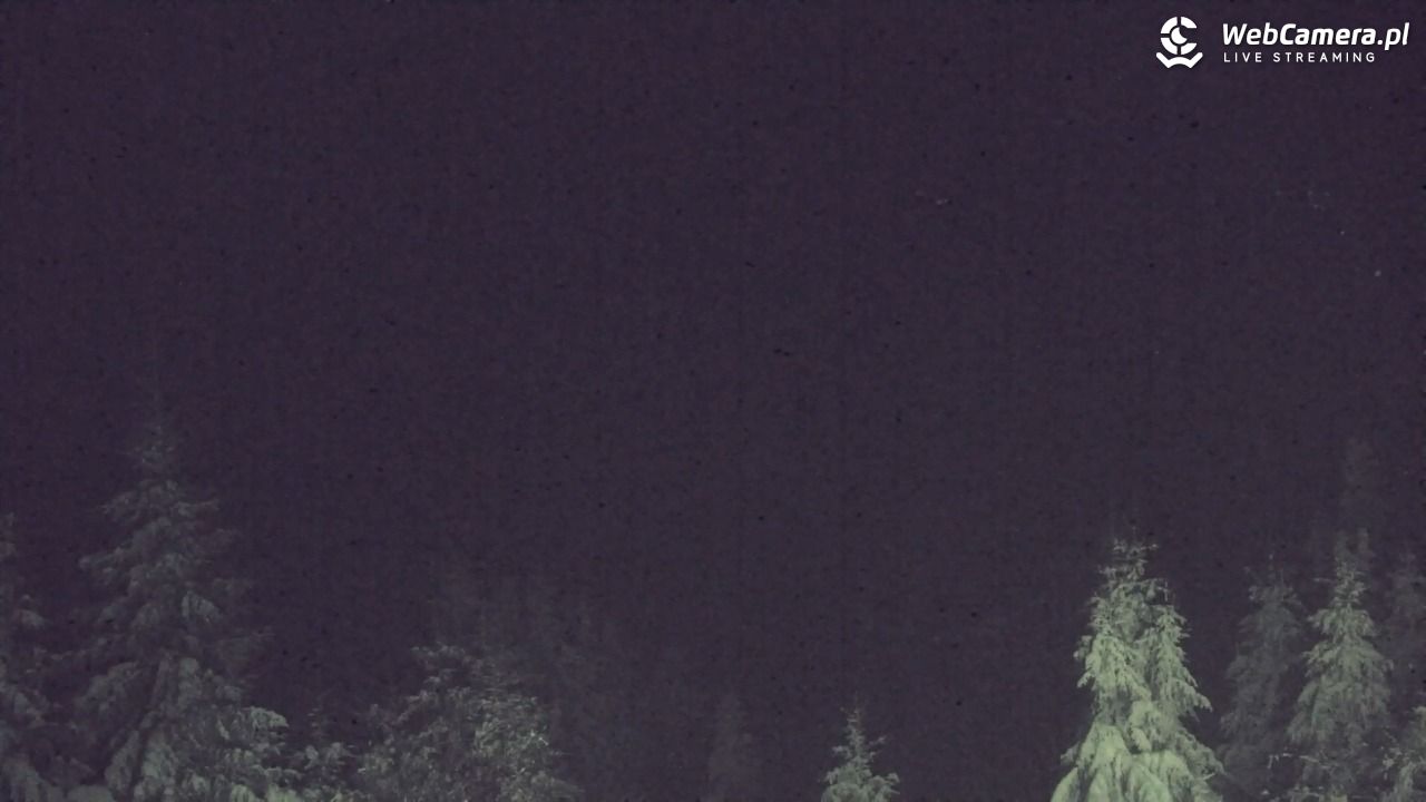 Turbacz - Gorce - 11 styczeń 2026, 19:16