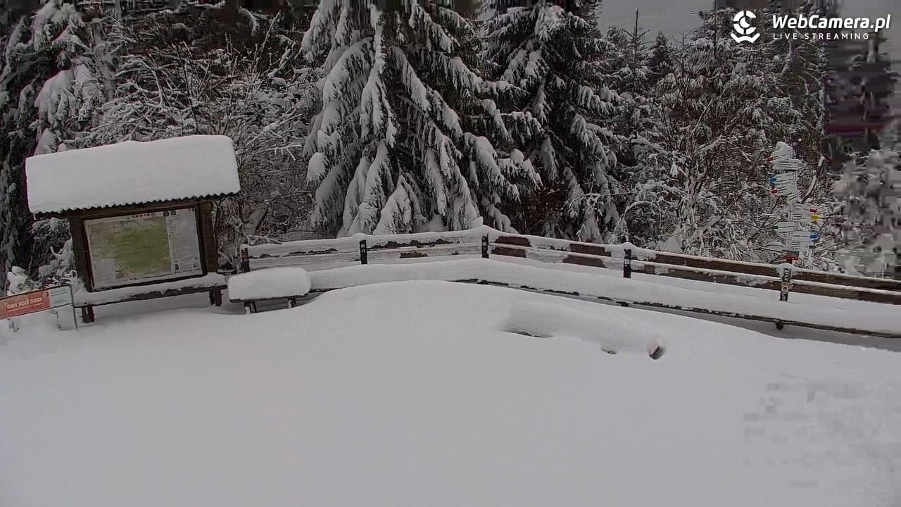 Turbacz - Gorce - 13 styczeń 2026, 15:26