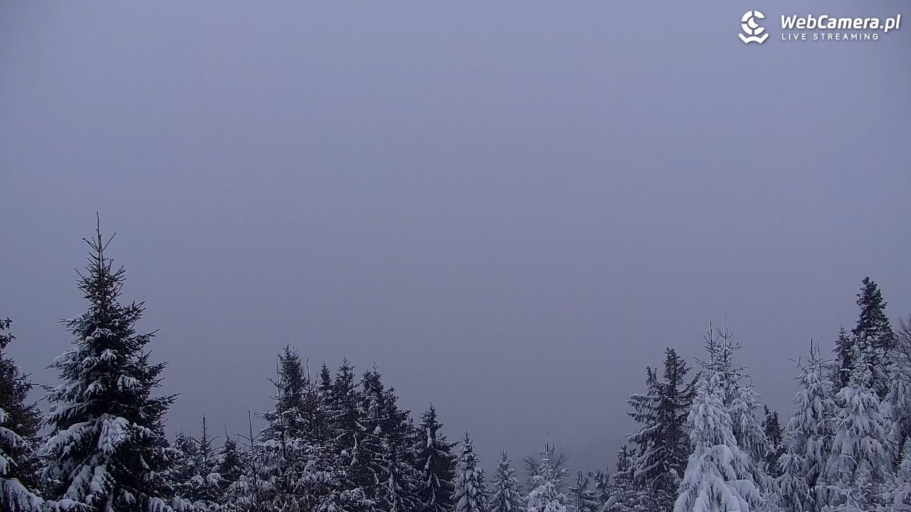 Turbacz - Gorce - 13 styczeń 2026, 07:17