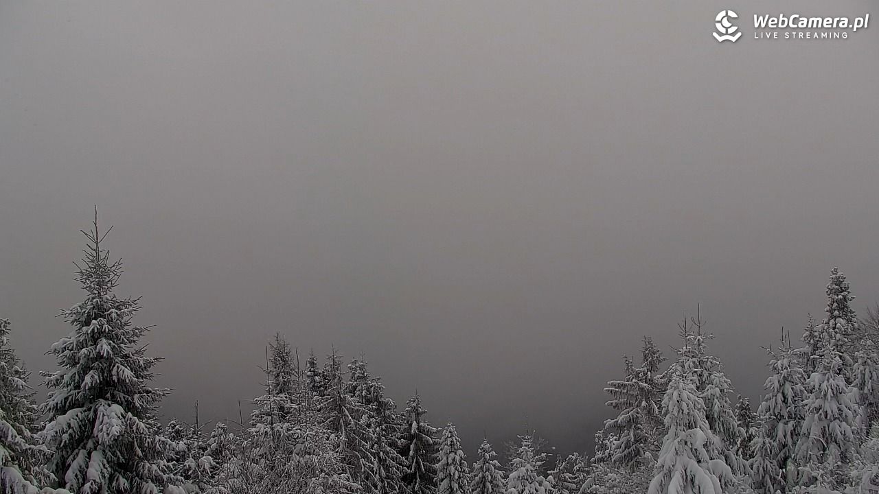 Turbacz - Gorce - 12 styczeń 2026, 12:14