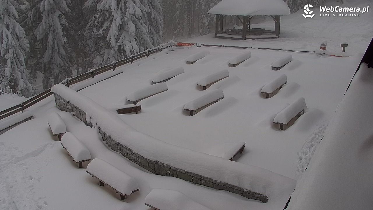 Turbacz - Gorce - 14 styczeń 2026, 11:58