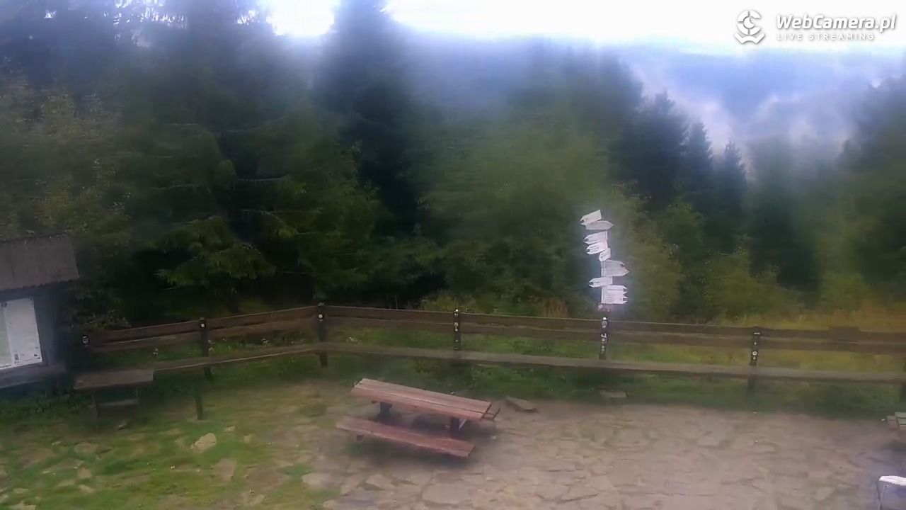 Turbacz - Gorce - 16 wresień 2025, 10:03