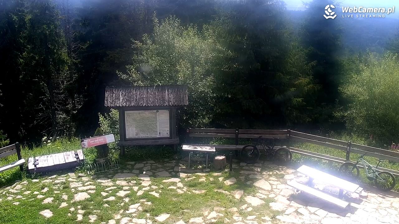 Turbacz - Gorce - 31 lipiec 2025, 11:12