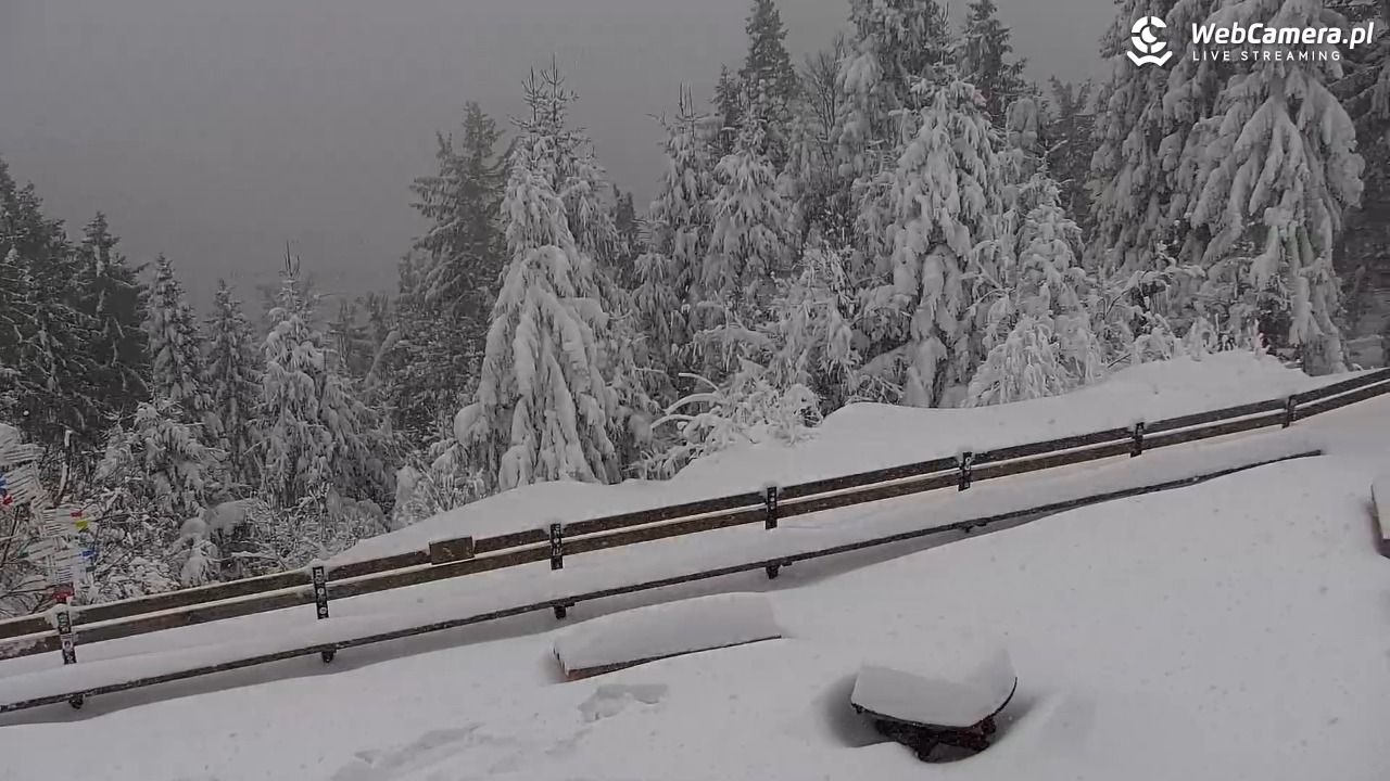 Turbacz - Gorce - 13 styczeń 2026, 13:32