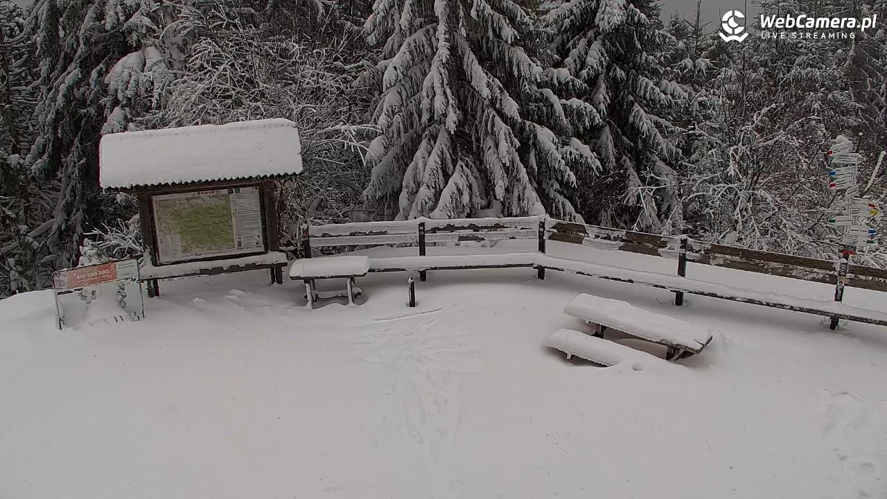 Turbacz - Gorce - 11 styczeń 2026, 10:32