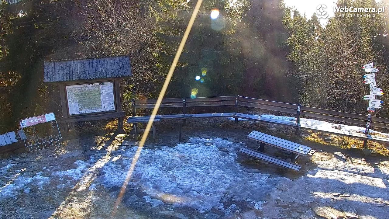 Turbacz - Gorce - 22 grudzień 2025, 09:17