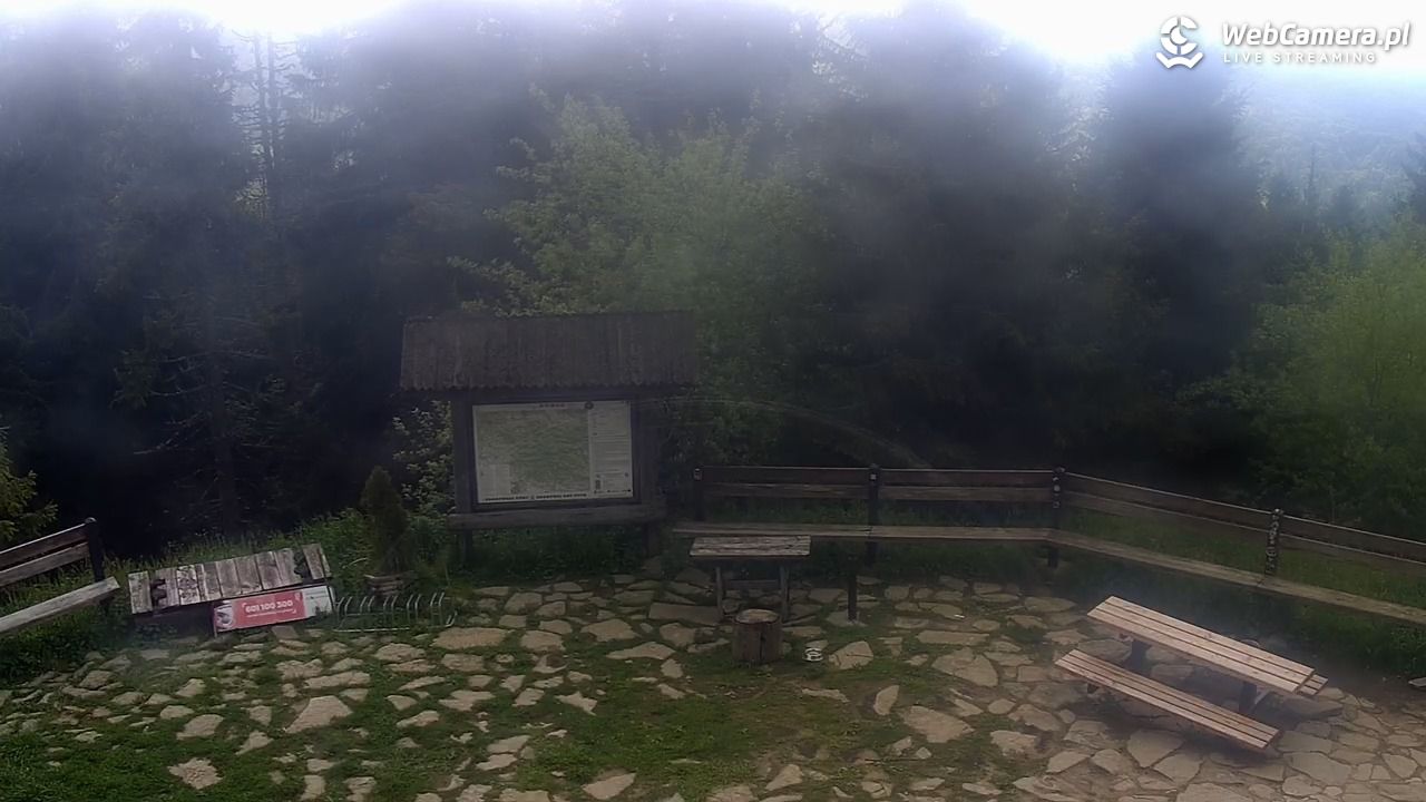 Turbacz - Gorce - 09 czerwiec 2025, 08:38