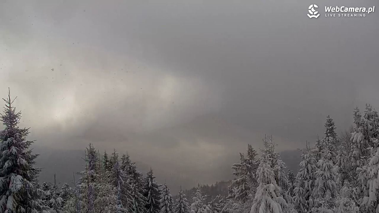 Turbacz - Gorce - 12 styczeń 2026, 11:26