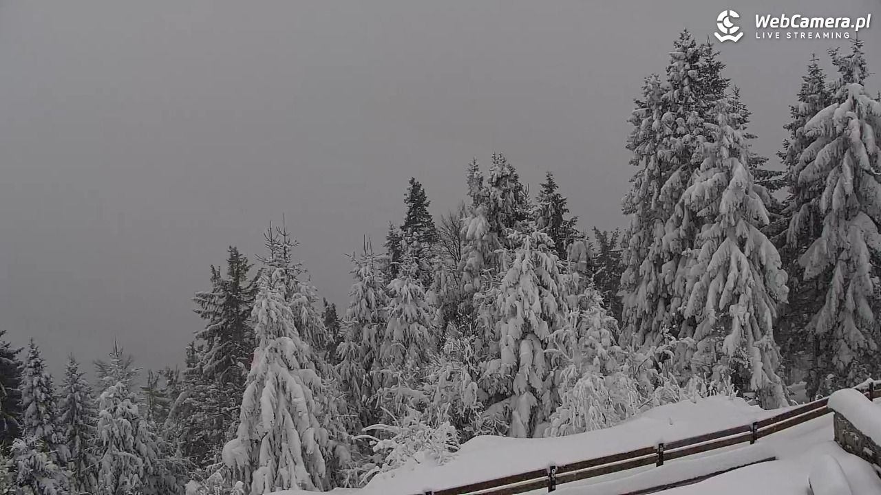 Turbacz - Gorce - 13 styczeń 2026, 09:02