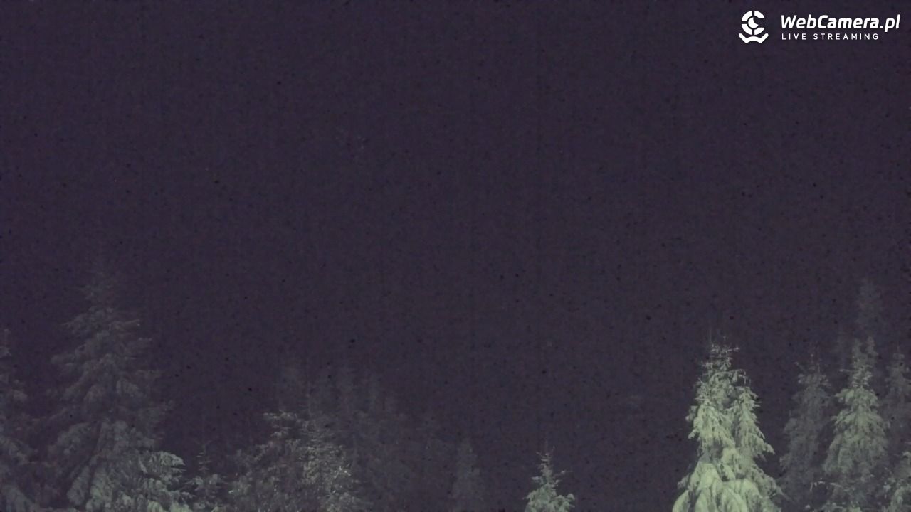 Turbacz - Gorce - 11 styczeń 2026, 22:05