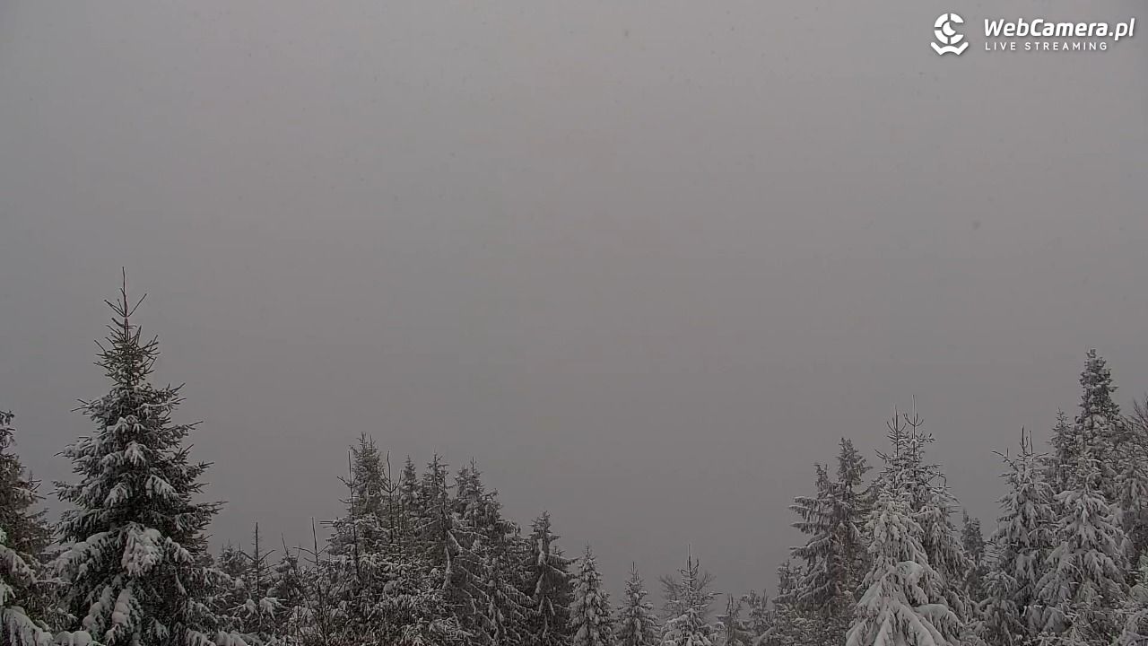 Turbacz - Gorce - 11 styczeń 2026, 14:52