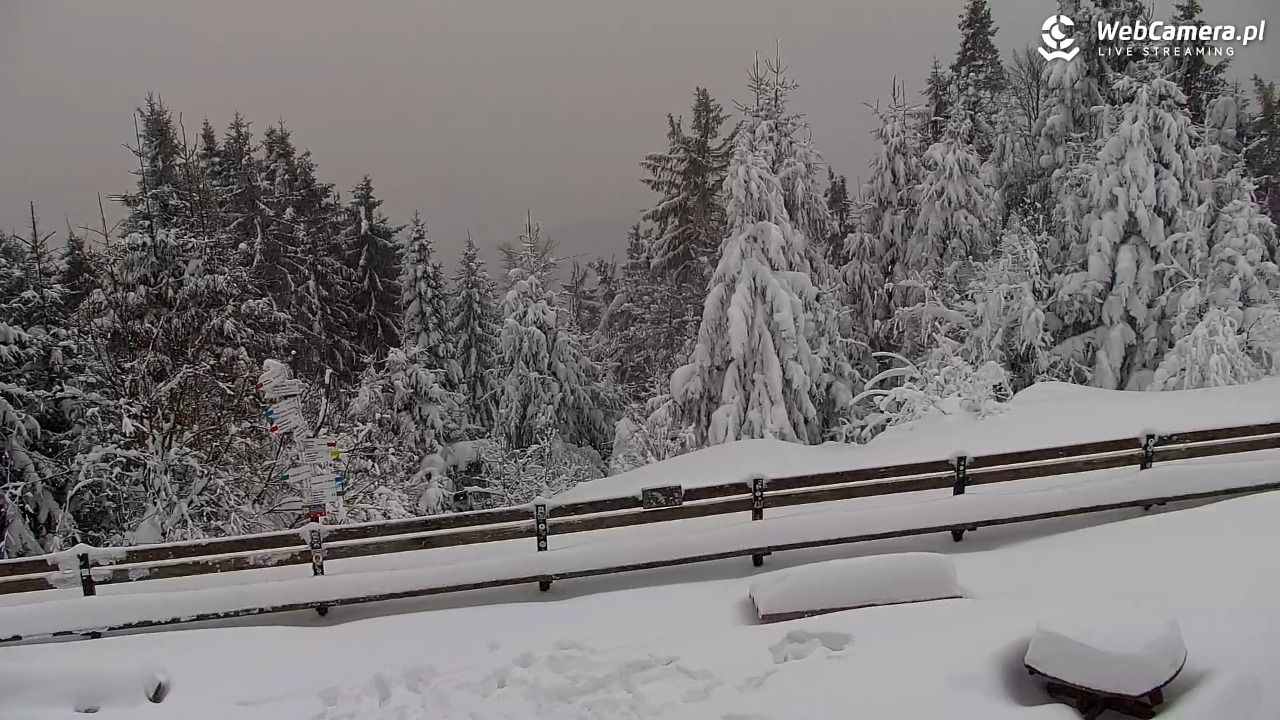 Turbacz - Gorce - 13 styczeń 2026, 15:28