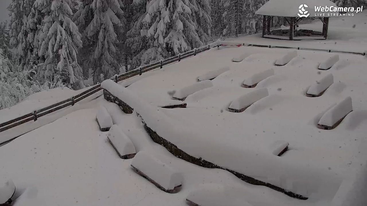 Turbacz - Gorce - 12 styczeń 2026, 07:52
