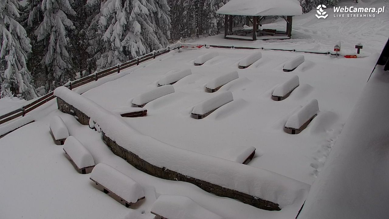 Turbacz - Gorce - 13 styczeń 2026, 08:33