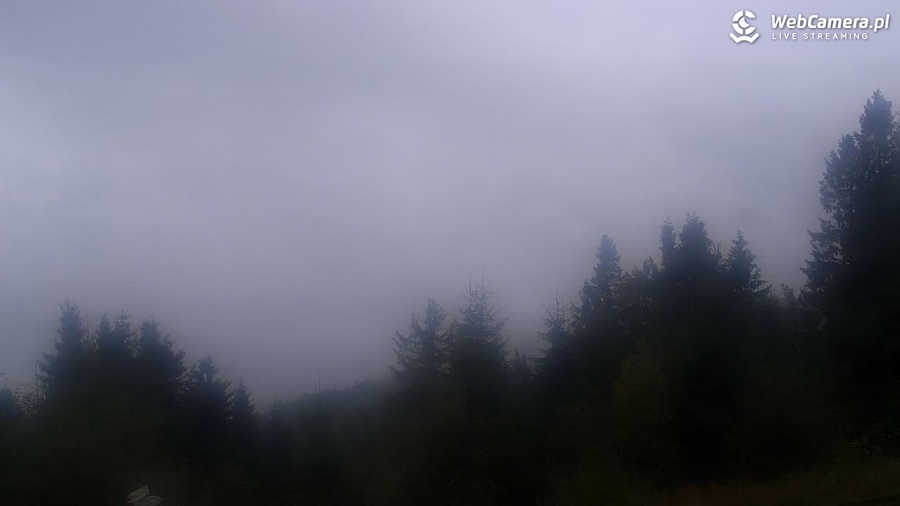 Turbacz - Gorce - 14 wresień 2025, 12:41