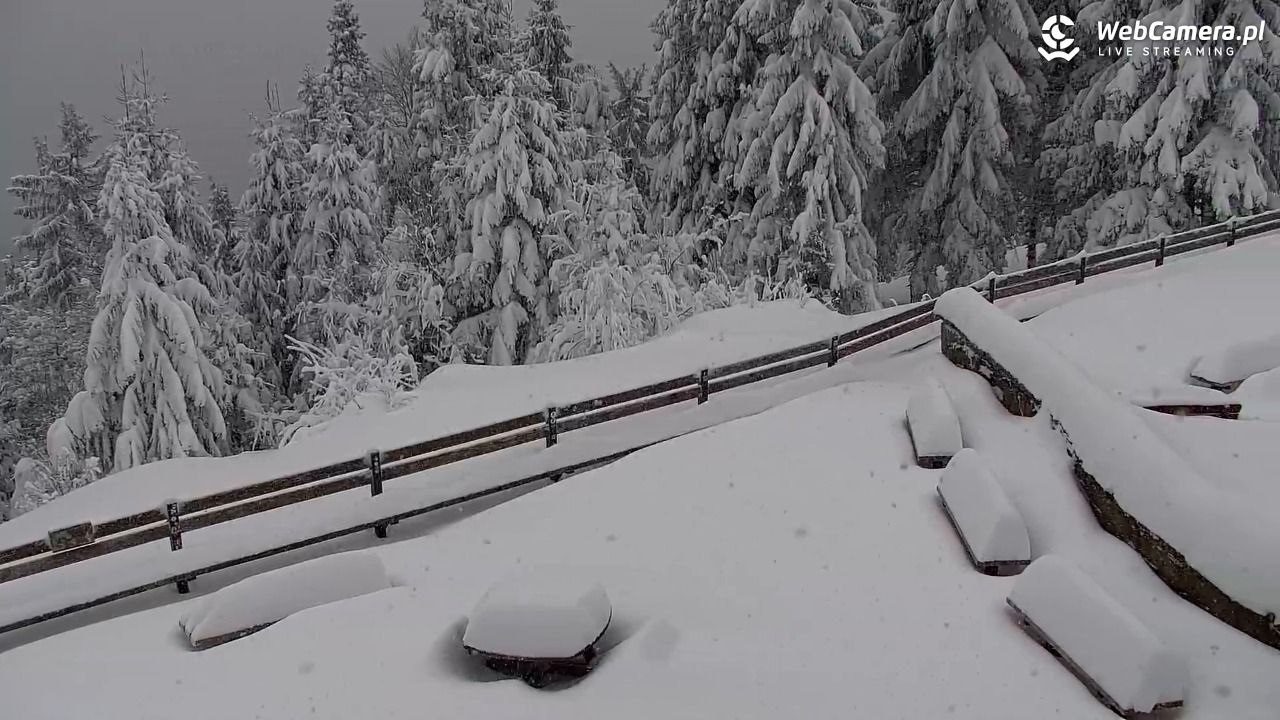 Turbacz - Gorce - 12 styczeń 2026, 08:05