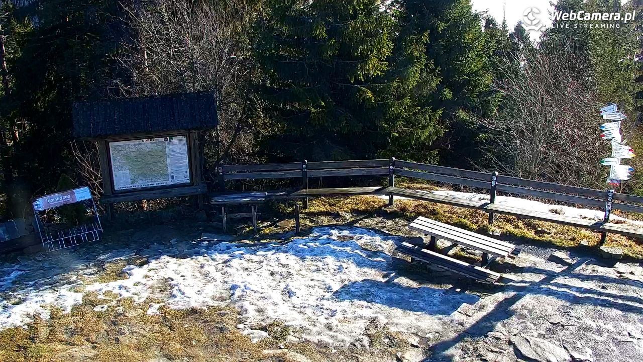 Turbacz - Gorce - 22 grudzień 2025, 12:02