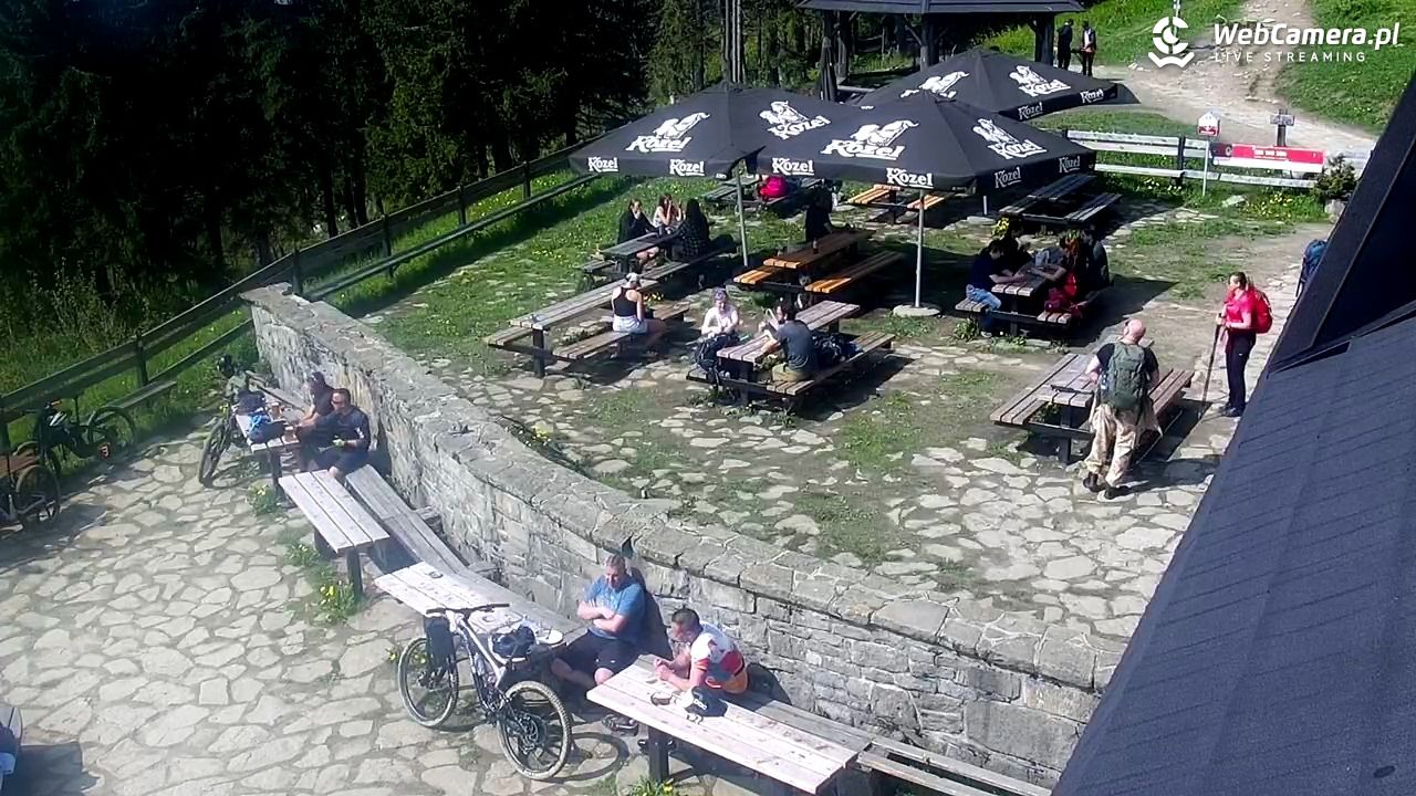 Turbacz - Gorce - 01 czerwiec 2025, 09:56