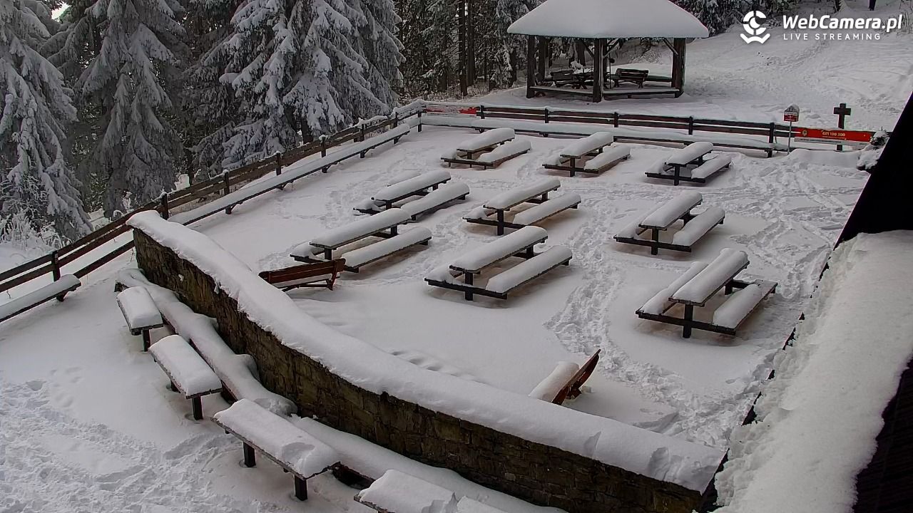 Turbacz - Gorce - 10 styczeń 2026, 13:06