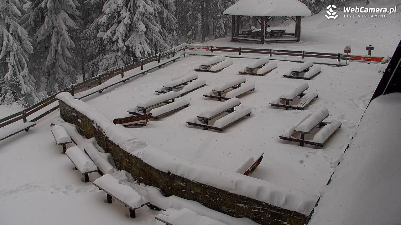 Turbacz - Gorce - 11 styczeń 2026, 11:06