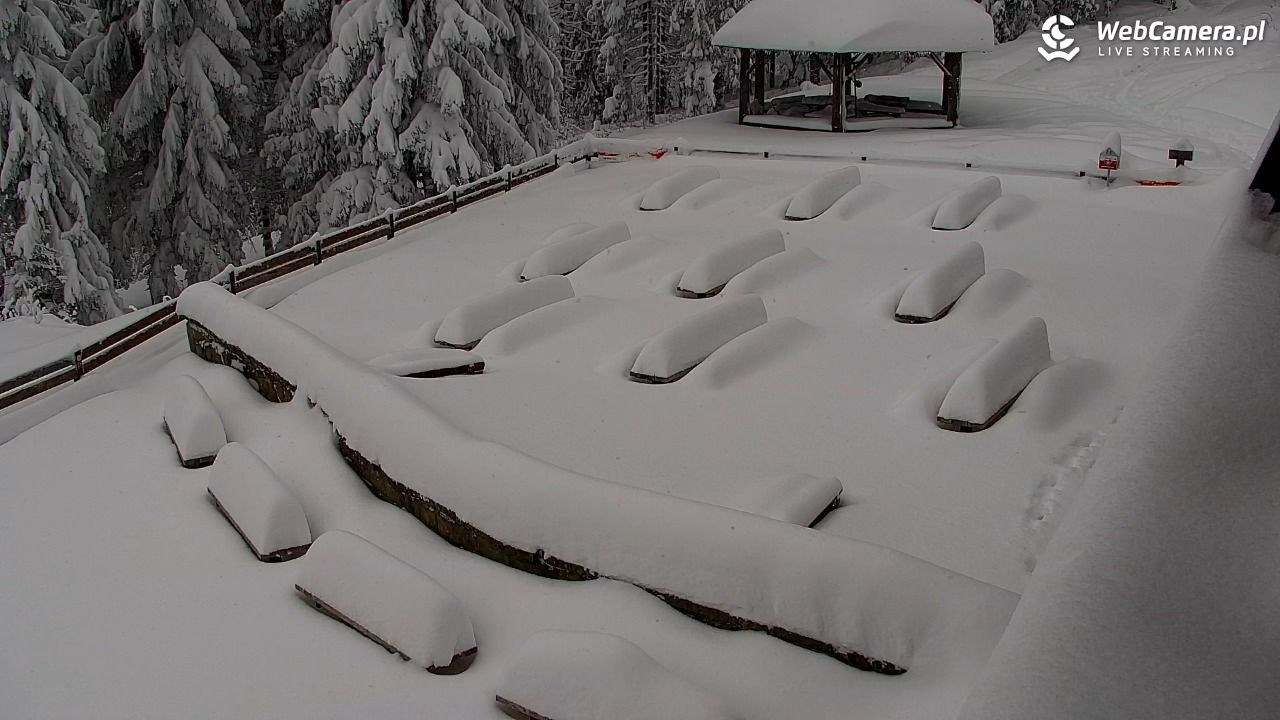Turbacz - Gorce - 12 styczeń 2026, 11:32