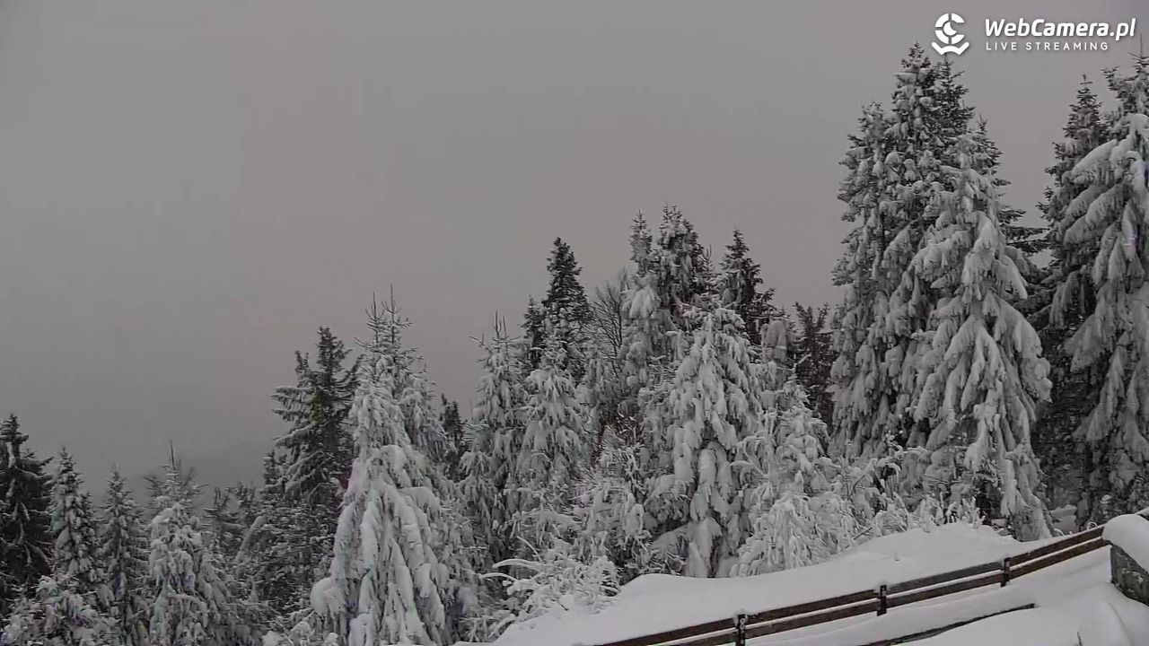 Turbacz - Gorce - 13 styczeń 2026, 08:48