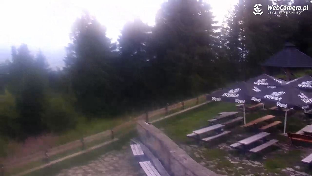 Turbacz - Gorce - 31 lipiec 2025, 20:31