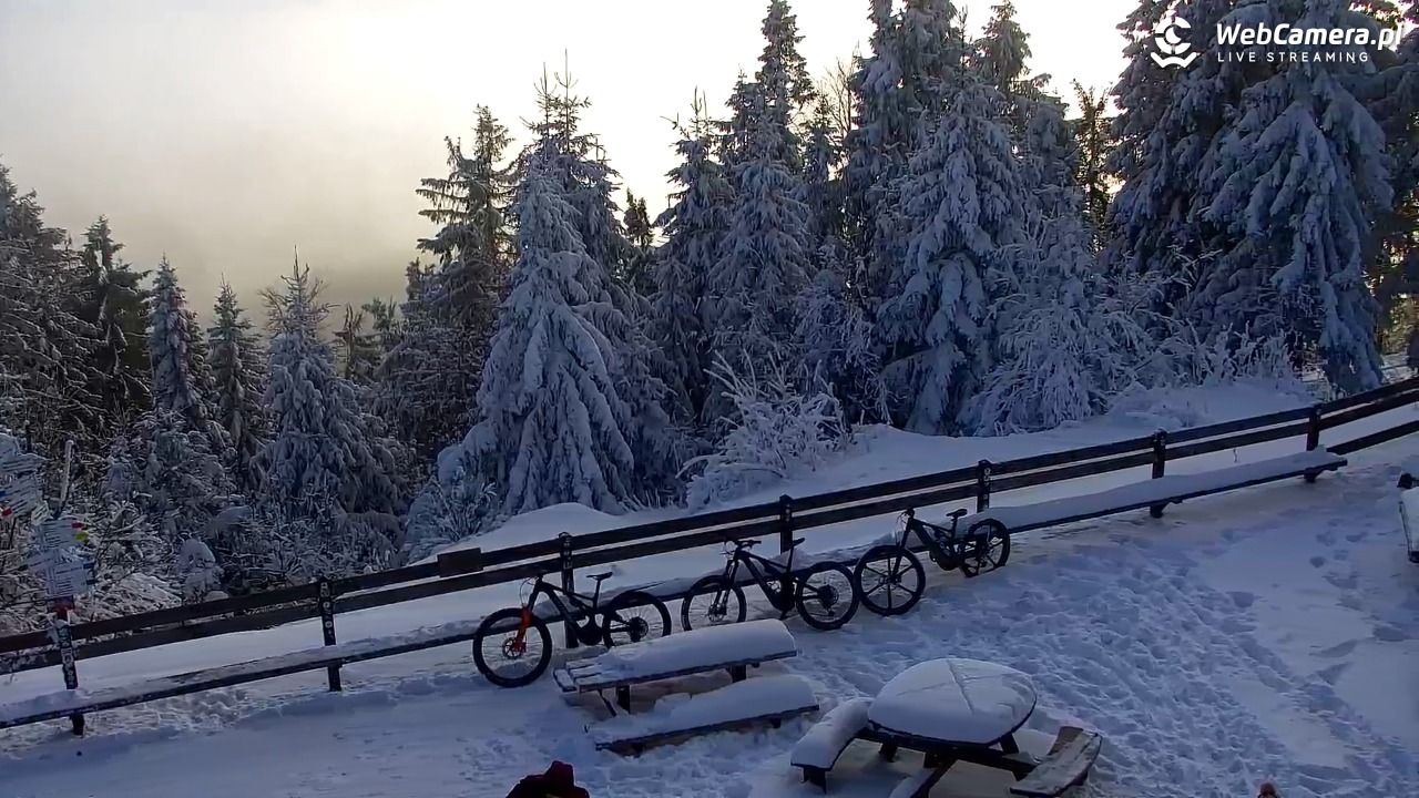 Turbacz - Gorce - 10 styczeń 2026, 14:41