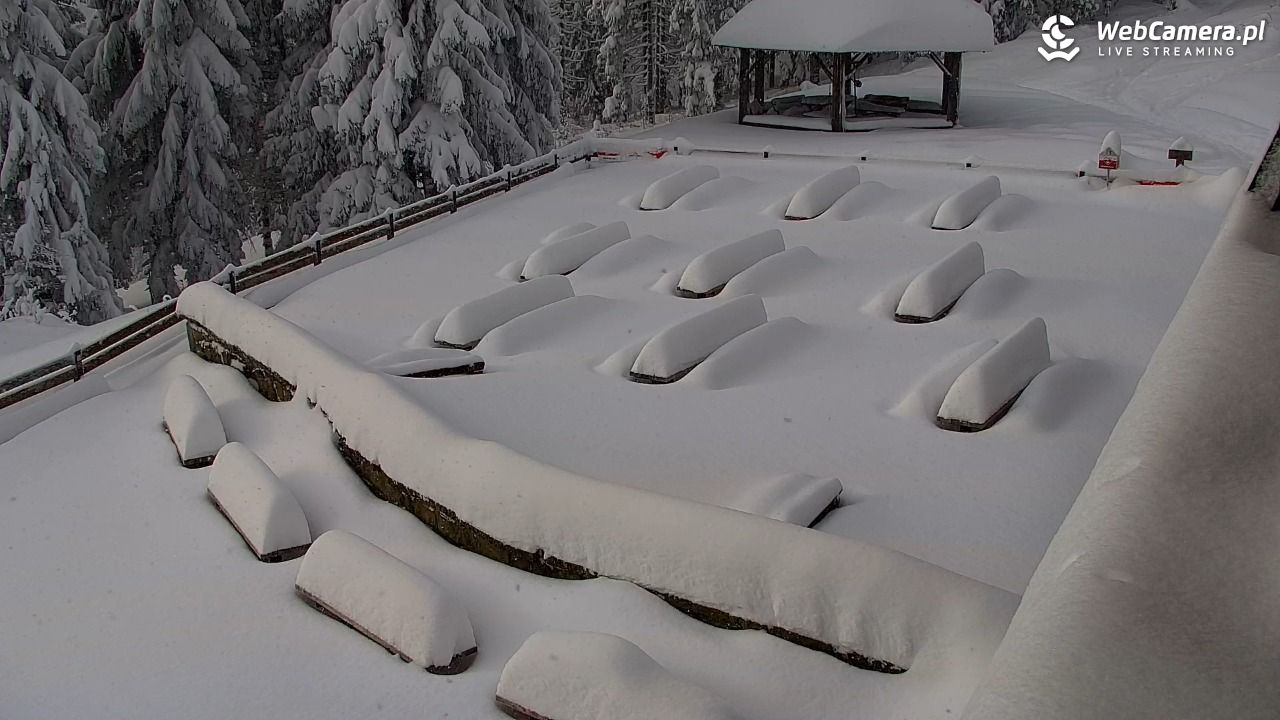 Turbacz - Gorce - 12 styczeń 2026, 10:19