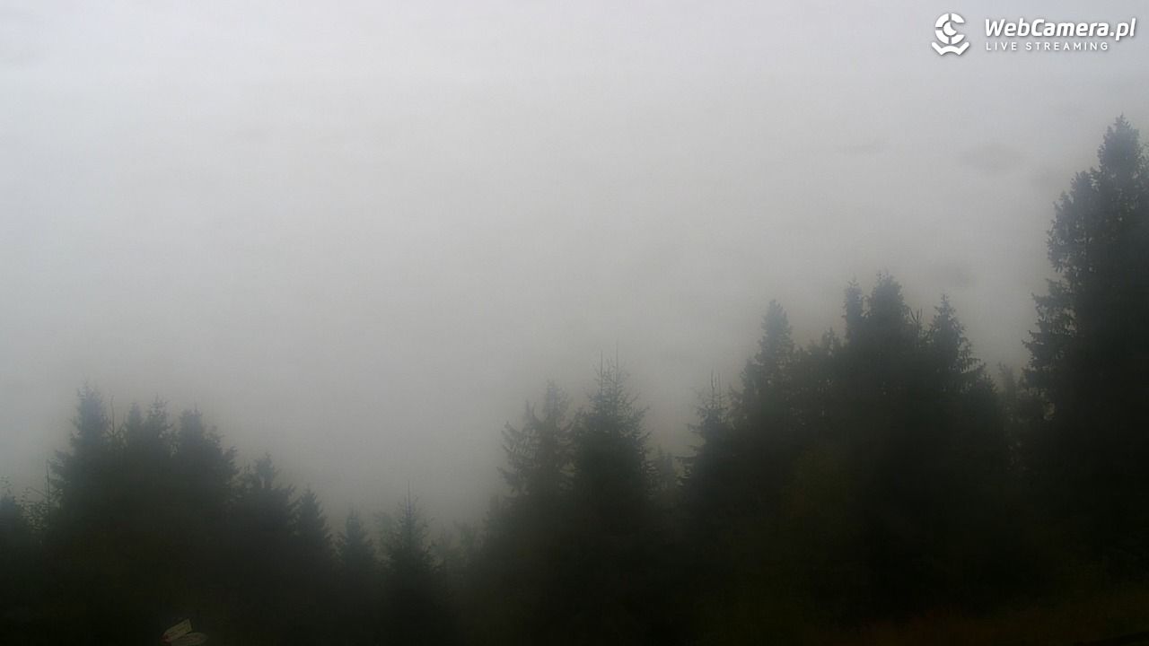 Turbacz - Gorce - 17 wresień 2025, 10:37