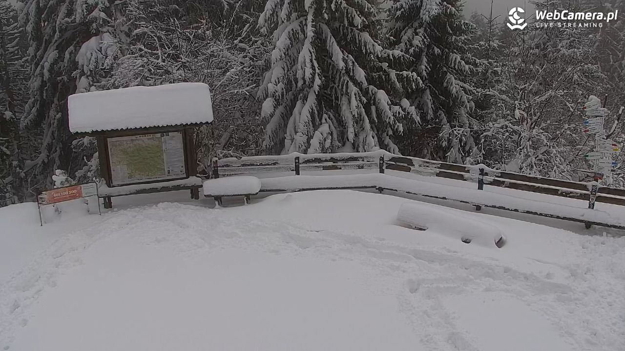 Turbacz - Gorce - 14 styczeń 2026, 12:50