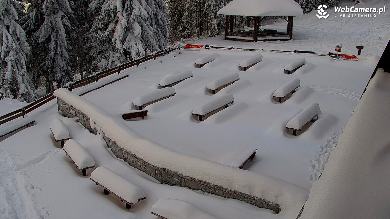 Turbacz - Gorce - 15 styczeń 2026, 08:00