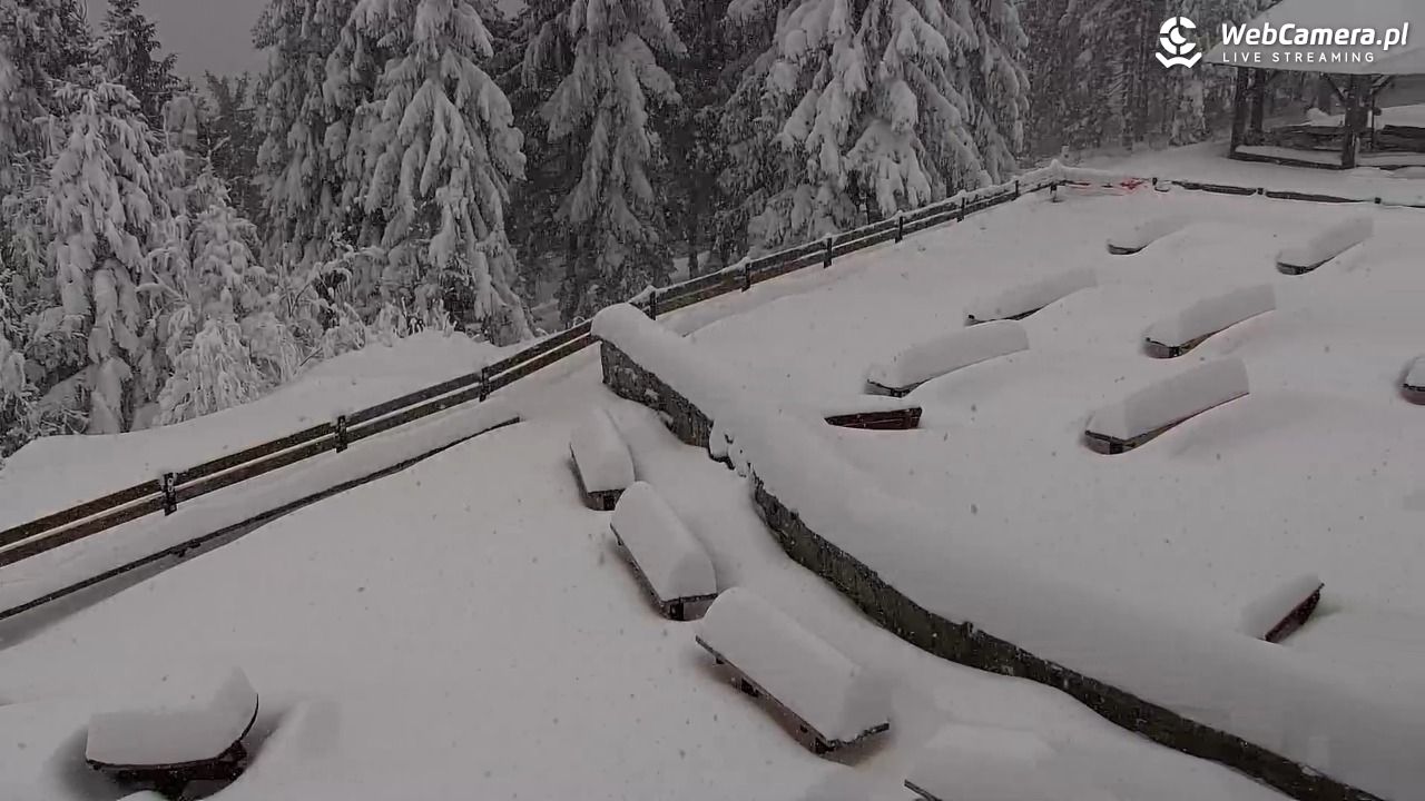Turbacz - Gorce - 13 styczeń 2026, 10:25