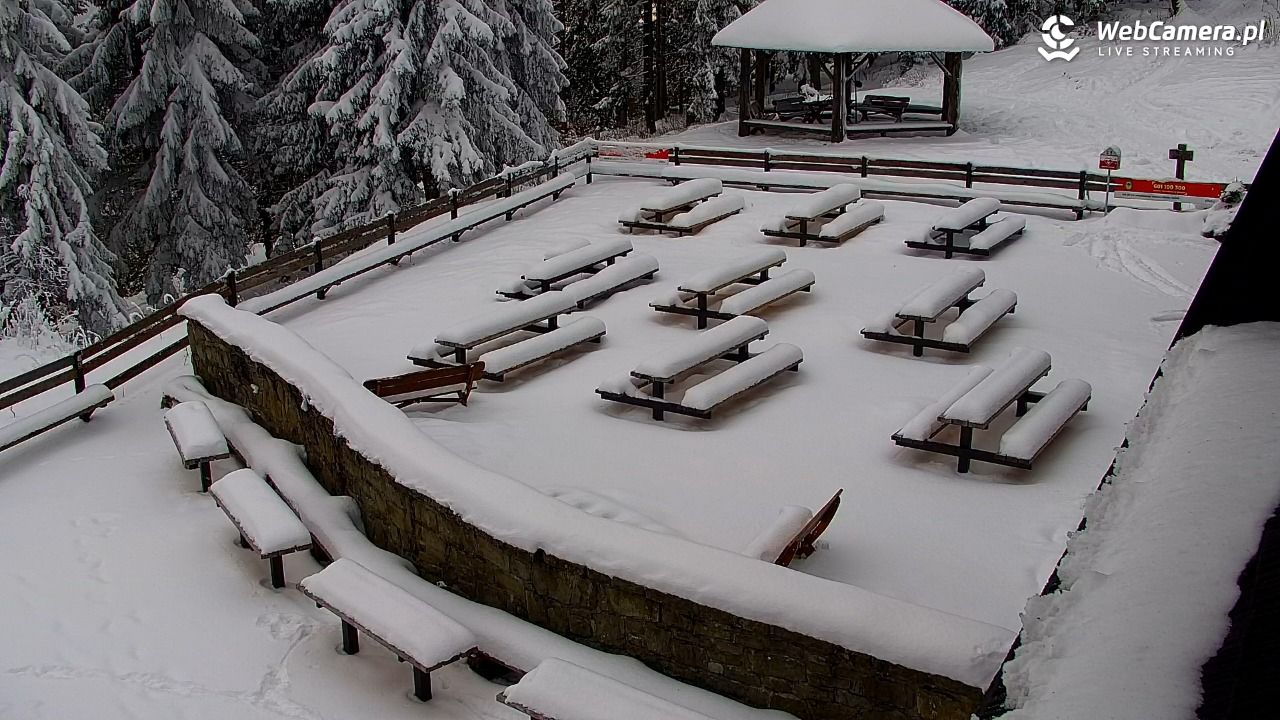 Turbacz - Gorce - 10 styczeń 2026, 08:44