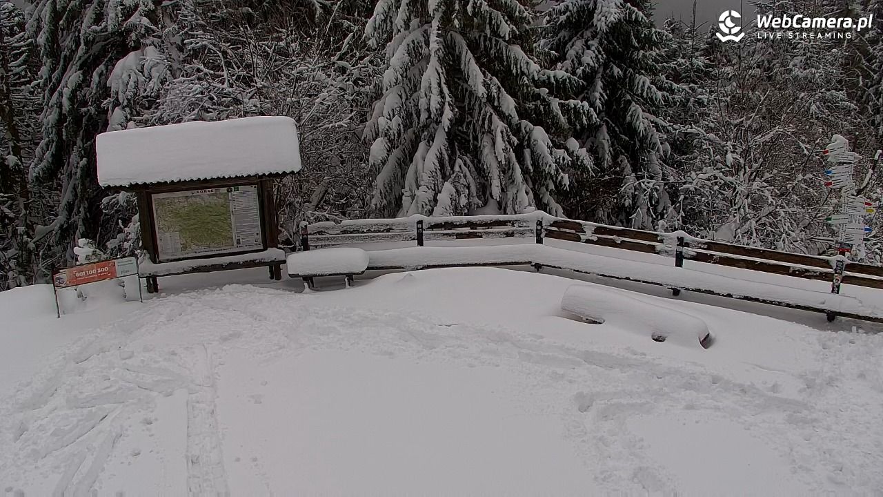 Turbacz - Gorce - 14 styczeń 2026, 14:01