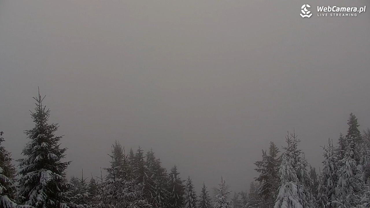 Turbacz - Gorce - 14 styczeń 2026, 12:43