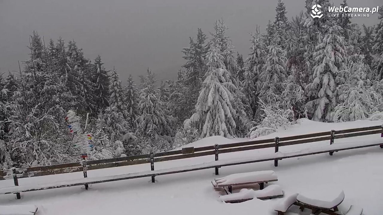 Turbacz - Gorce - 11 styczeń 2026, 09:00