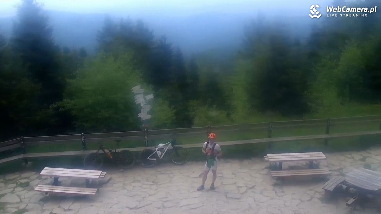 Turbacz - Gorce - 16 czerwiec 2025, 10:56