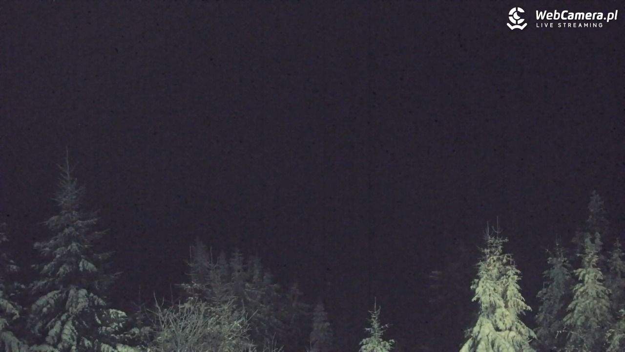 Turbacz - Gorce - 10 styczeń 2026, 19:04